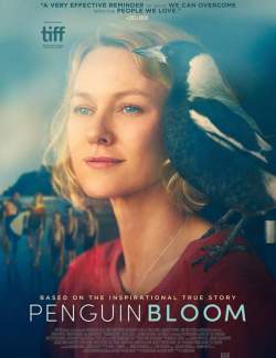    / Penguin Bloom (2020) HD 720 (RU, ENG)
