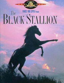 Черный скакун / The Black Stallion (1979) HD 720 (RU, ENG)