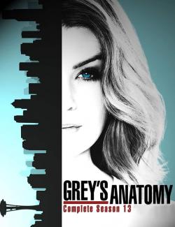 Анатомия страсти (сезон 13) / Grey's Anatomy (season 13) (2016) HD 720 (RU, ENG)