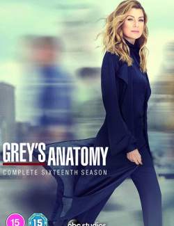   ( 16) / Grey's Anatomy (season 16) (2019) HD 720 (RU, ENG)