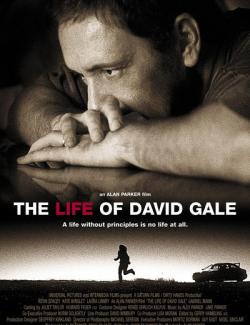 Жизнь Дэвида Гейла / The Life of David Gale (2002) HD 720 (RU, ENG)