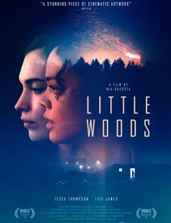 Лесок / Little Woods (2018) HD 720 (RU, ENG)