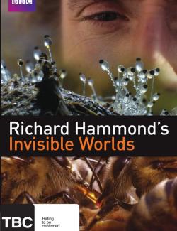 BBC: Невидимые миры (сезон 1) / Richard Hammond's Invisible Worlds (season 1) (2010) HD 720 (RU, ENG)