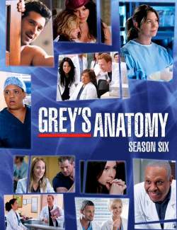   ( 6) / Grey's Anatomy (season 6) (2009) HD 720 (RU, ENG)