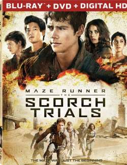   :   / The Scorch Trials (2015) HD 720 (RU, ENG)