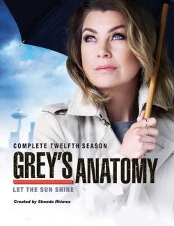 Анатомия страсти (сезон 12) / Grey's Anatomy (season 12) (2015) HD 720 (RU, ENG)