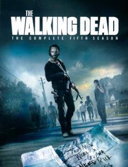 Ходячие мертвецы (сезон 5) / The Walking Dead (season 5) (2014) HD 720 (RU, ENG)