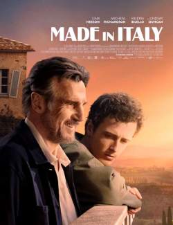    / Made in Italy (2020) HD 720 (RU, ENG)
