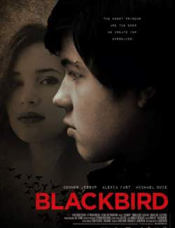 ׸  / Blackbird (2012) HD 720 (RU, ENG)