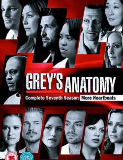   ( 7) / Grey's Anatomy (season 7) (2010) HD 720 (RU, ENG)