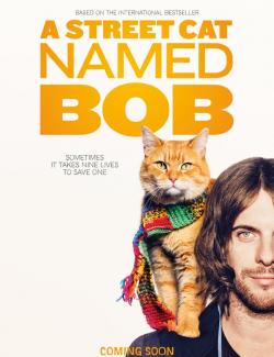 Уличный кот по кличке Боб / A Street Cat Named Bob (2016) HD 720 (RU, ENG)