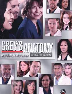   ( 10) / Grey's Anatomy (season 10) (2013) HD 720 (RU, ENG)