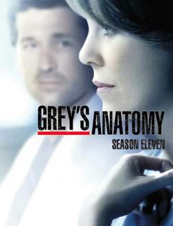 Анатомия страсти (сезон 11) / Grey's Anatomy (season 11) (2014) HD 720 (RU, ENG)