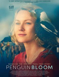История семьи Блум / Penguin Bloom (2020) HD 720 (RU, ENG)