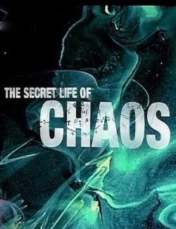 BBC:    / The Secret Life of Chaos (2010) HD 720 (RU, ENG)