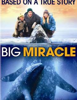 Все любят китов / Big Miracle (2012) HD 720 (RU, ENG)